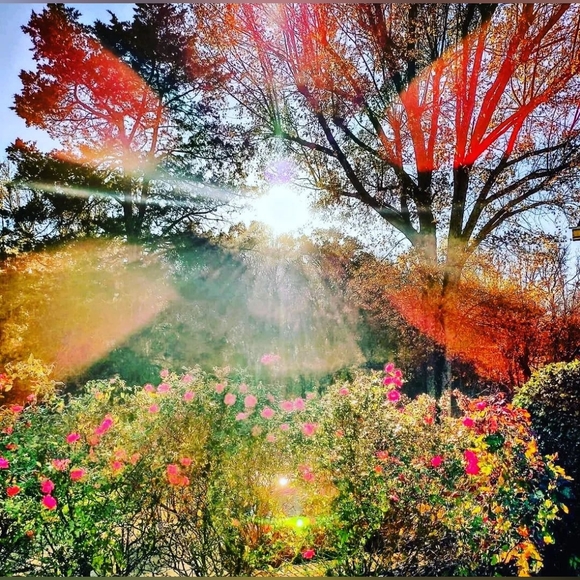 🎨 Journals available on Amazon by Art of Amber Nicole - Picture 5 of 16